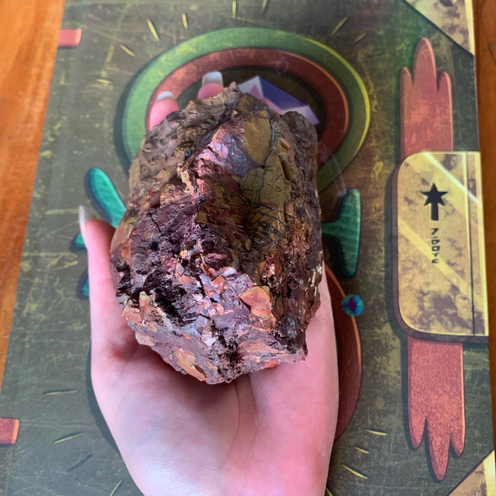 Beautiful piece of Petrified Redwood tree mineral stone display specimen - Picture 11 of 11